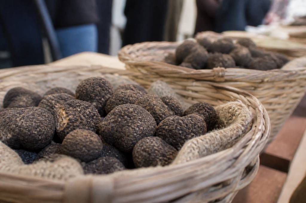 Les marchés de la truffe dans le Lubéron : dates, ambiance et conseils de visite
